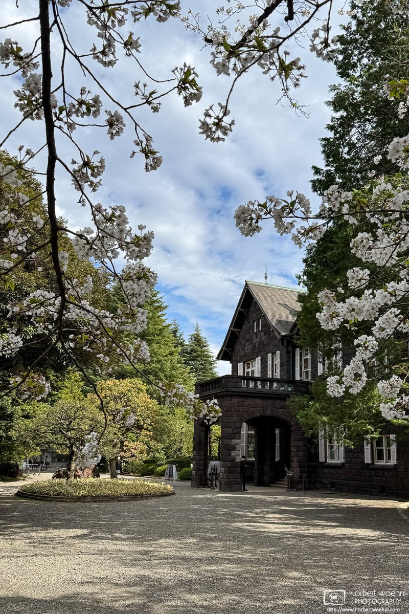 Spring scene with blossoming cherry trees at Kyu-Furukawa Gardens in Nishigahara, Tokyo. © 2025 Norbert Woehnl Photography.