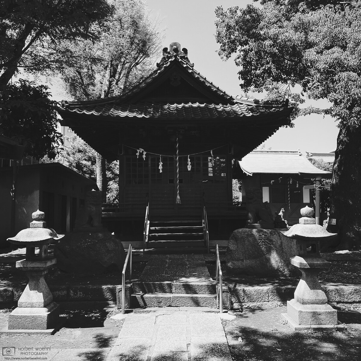 High-contrast monochrome photograph of Hasunuma Hikawa Shrine in the Hasunuma-cho neighborhood of Itabashi Ward in Tokyo, Japan. © 2022 Norbert Woehnl Photography.