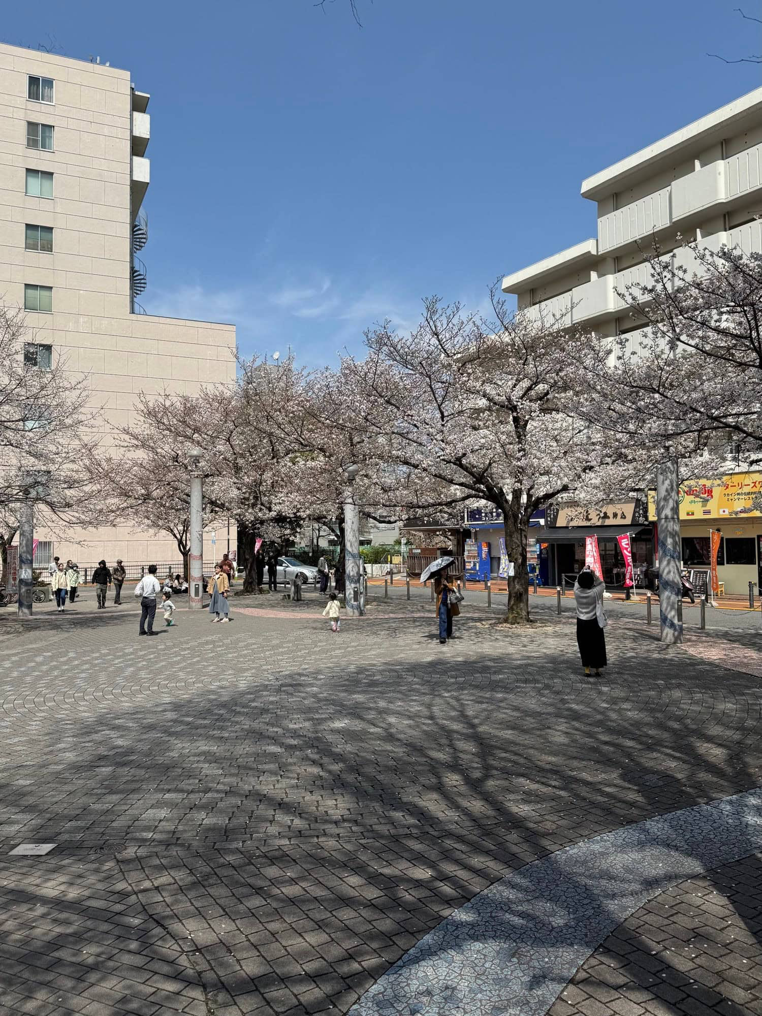 Cherry blossoms on a plaza north of Komagome Station in Tokyo, Japan. © 2025 Norbert Woehnl Photography.