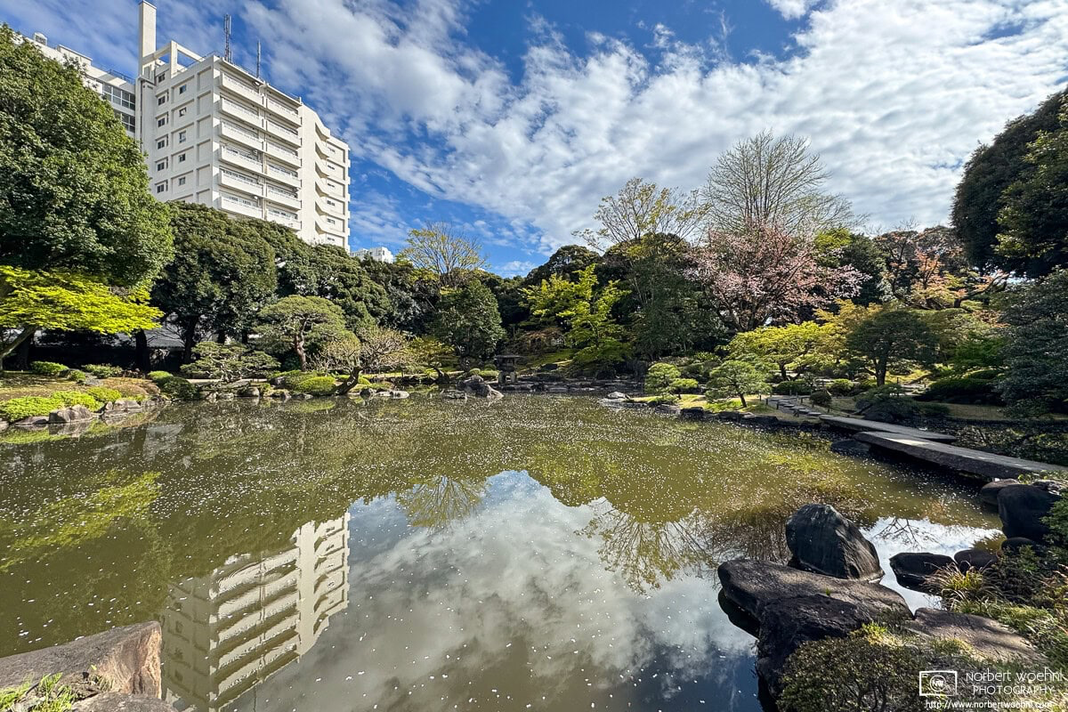 Spring scene overlooking the pond at Kyu-Furukawa Gardens in Nishigahara, Tokyo. © 2025 Norbert Woehnl Photography.