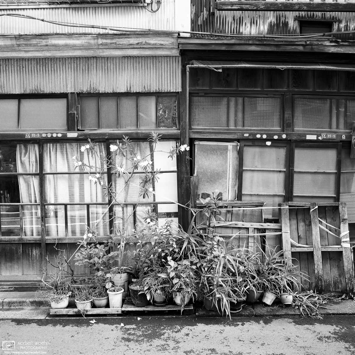 Photo walk through Taito-ku, Tokyo, Japan – Image no. 3. © 2018 Norbert Woehnl Photography.
