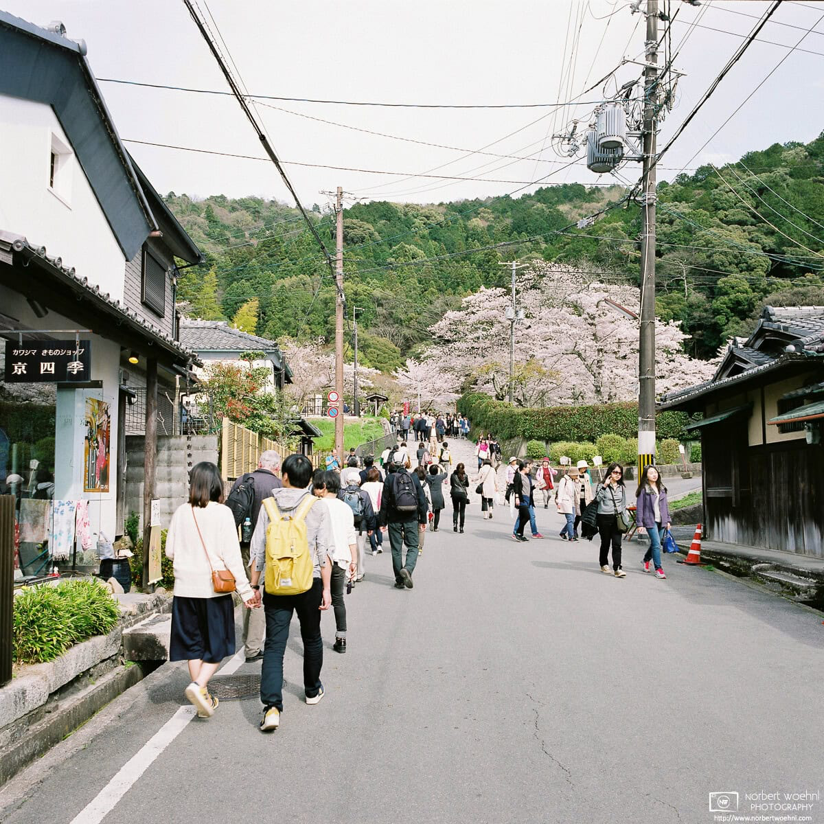 Approaching the Philosopher's Path in eastern Kyoto, Japan, during Cherry Blossom Season. © 2016 Norbert Woehnl Photography.