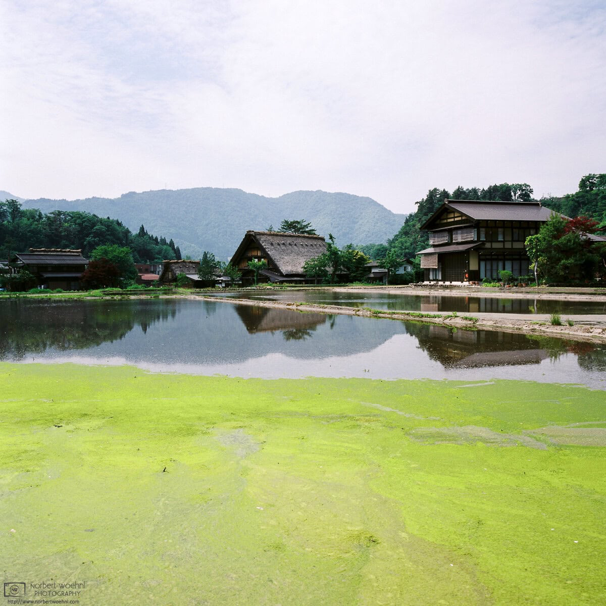 A colorful end-of-May impression between the typical thatched-roof houses at Ogimachi Village in Shirakawago, Gifu Prefecture, Japan. © 2015 Norbert Woehnl Photography.