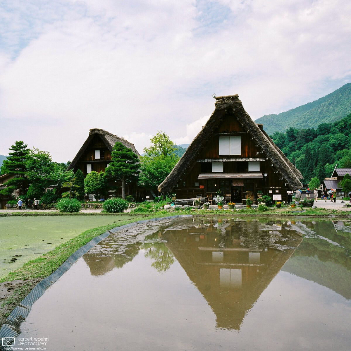 A colorful end-of-May impression between the typical thatched-roof houses at Ogimachi Village in Shirakawago, Gifu Prefecture, Japan. © 2015 Norbert Woehnl Photography.