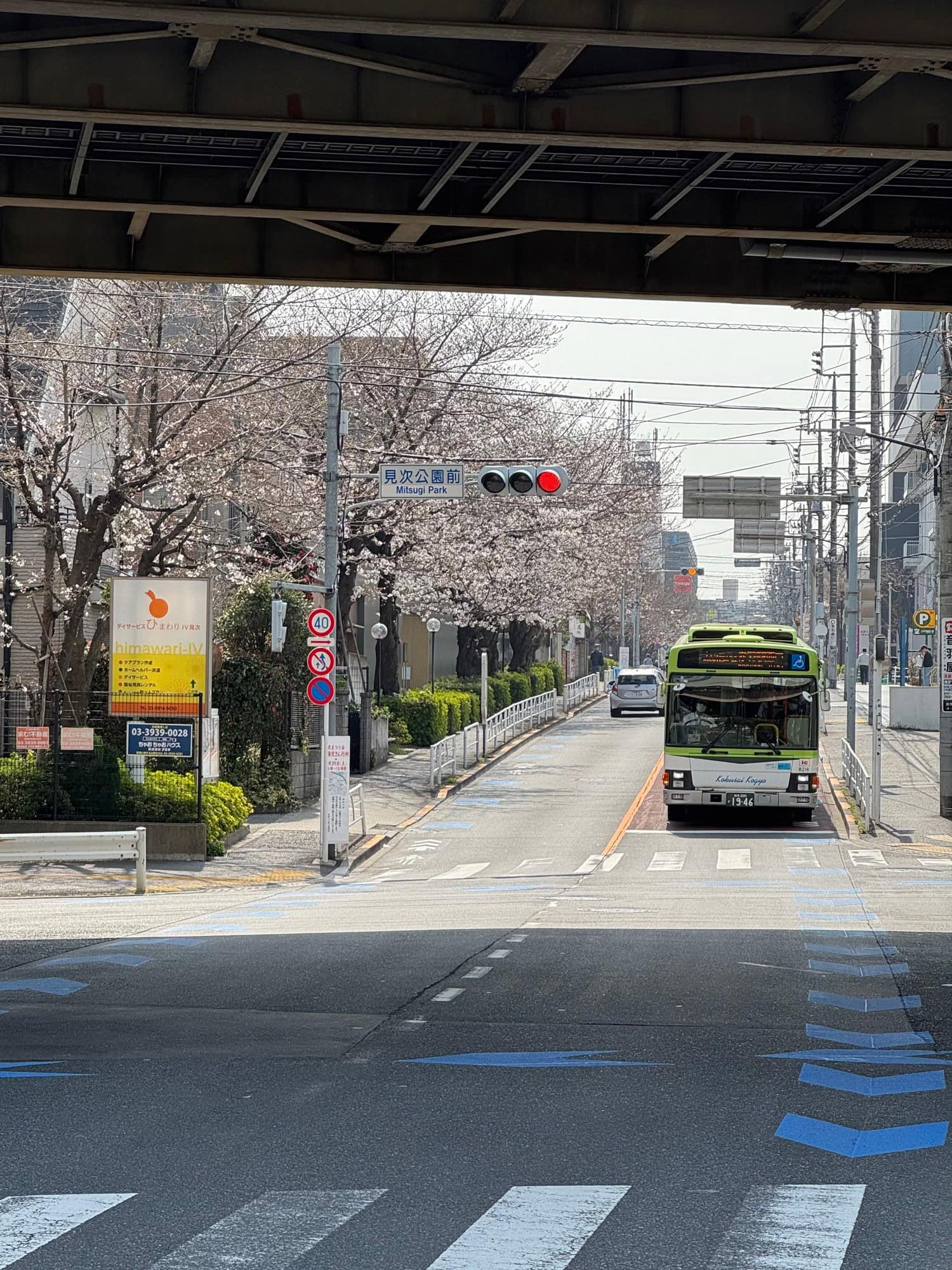 Urban cherry blossoms in Itabashi Ward, Tokyo - March 27, 2025. © 2025 Norbert Woehnl Photography.