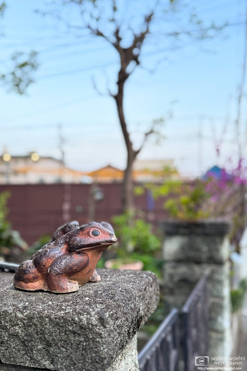 Decorative frog at a private entrance in a residential area of Itabashi Ward in Tokyo, Japan. © 2025 Norbert Woehnl Photography.