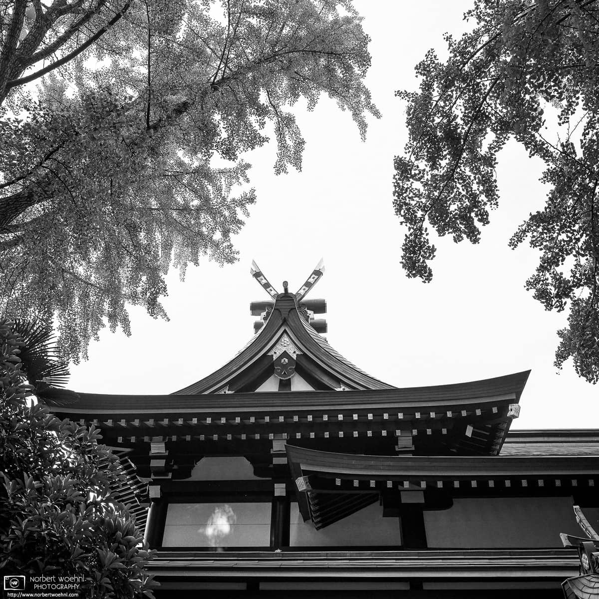 Photo walk through Taito-ku, Tokyo, Japan – Image no. 21. © 2018 Norbert Woehnl Photography.