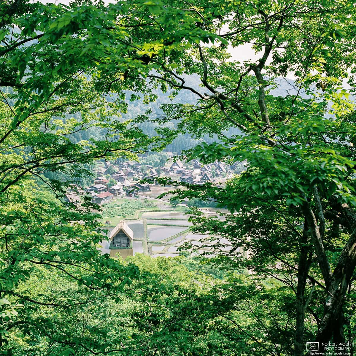 View of Ogimachi Village at Shirakawago in Gifu Prefecture, Japan, as seen through the forest near Shiroyama Observatory. © 2015 Norbert Woehnl Photography.