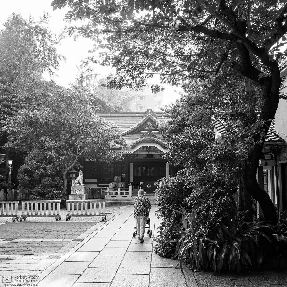 Photo walk through Taito-ku, Tokyo, Japan – Image no. 23. © 2018 Norbert Woehnl Photography.