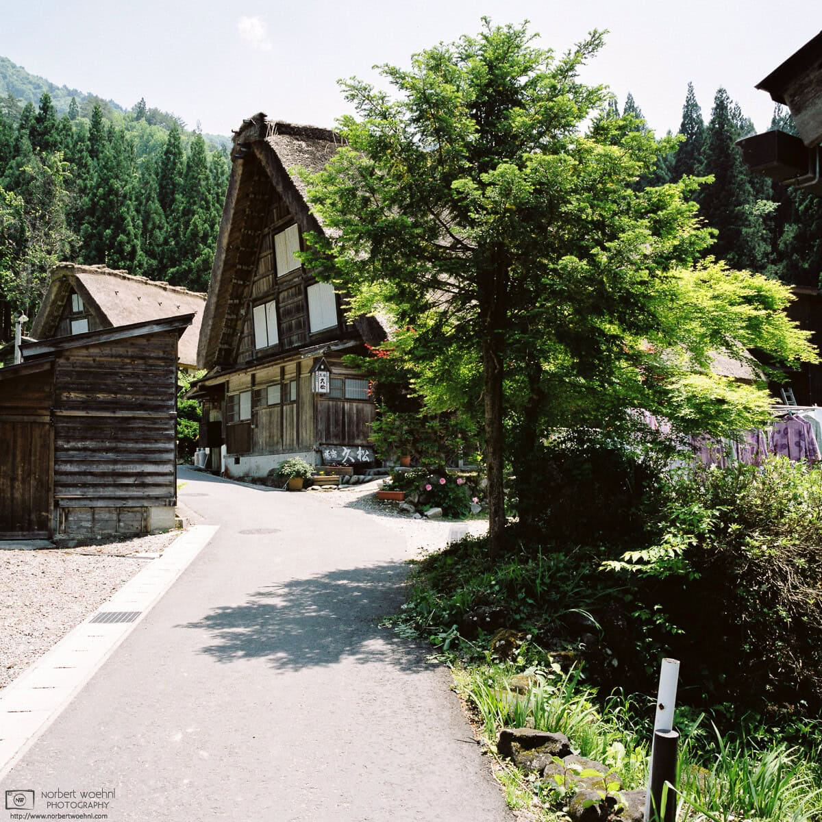 A colorful end-of-May impression between the typical thatched-roof houses at Ogimachi Village in Shirakawago, Gifu Prefecture, Japan. © 2015 Norbert Woehnl Photography.
